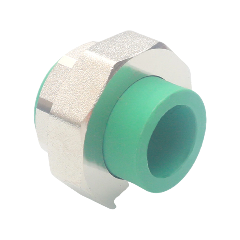 Codo interior extendido PPR D25x1/2