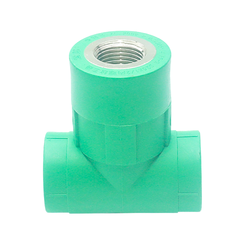 Codo interior extendido PPR D25x1/2