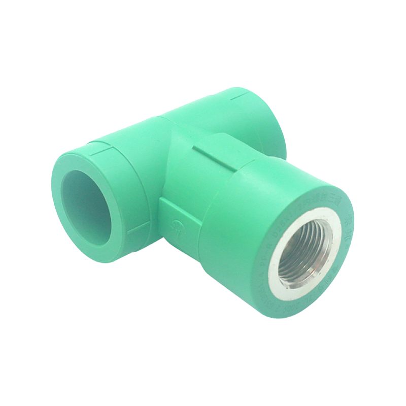 Codo interior extendido PPR D25x1/2