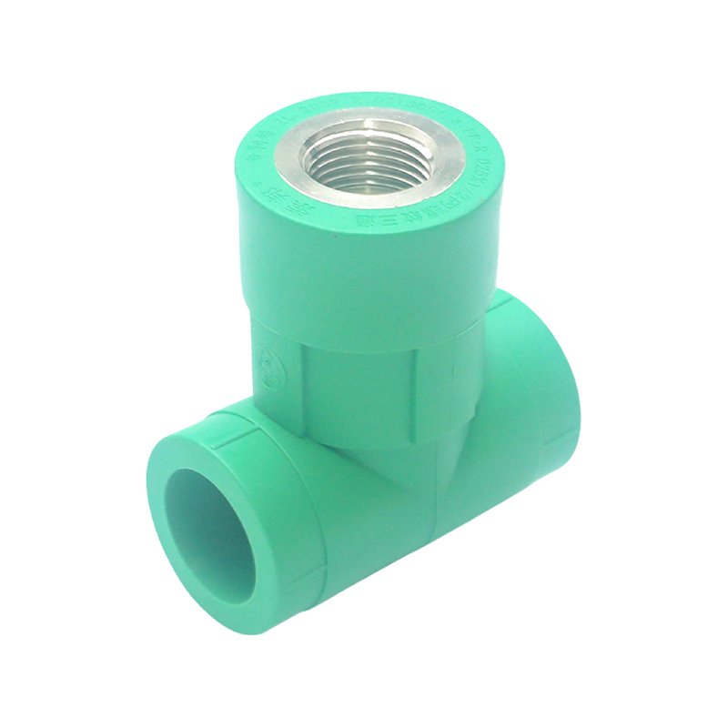 Codo interior extendido PPR D25x1/2