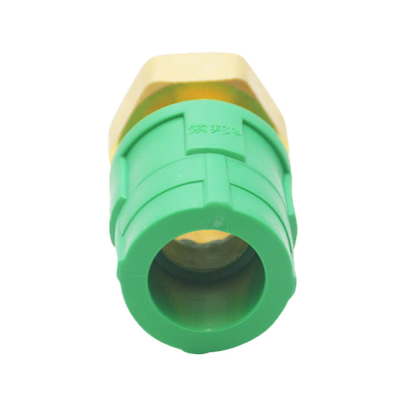 Codo interior extendido PPR D25x1/2