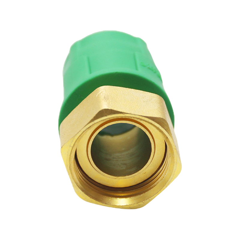 Codo interior extendido PPR D25x1/2