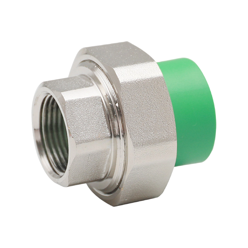 Codo interior extendido PPR D25x1/2