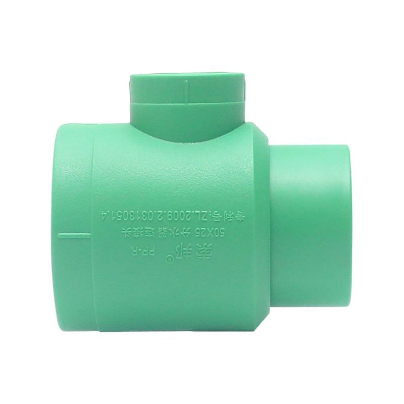 Codo interior extendido PPR D25x1/2