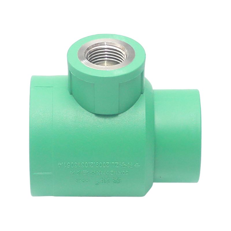 Codo interior extendido PPR D25x1/2