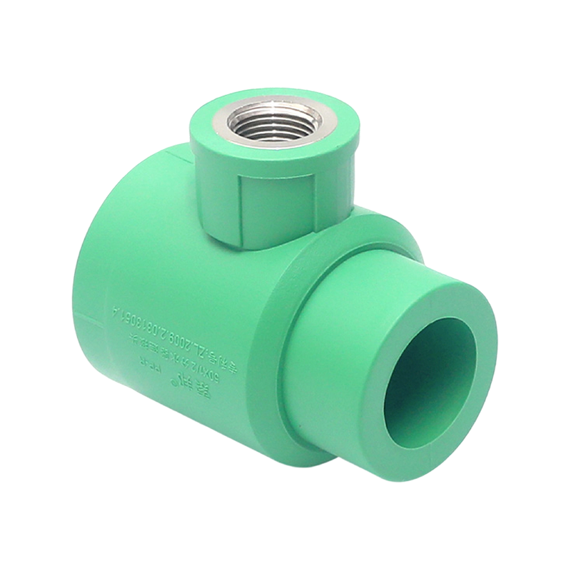 Codo interior extendido PPR D25x1/2