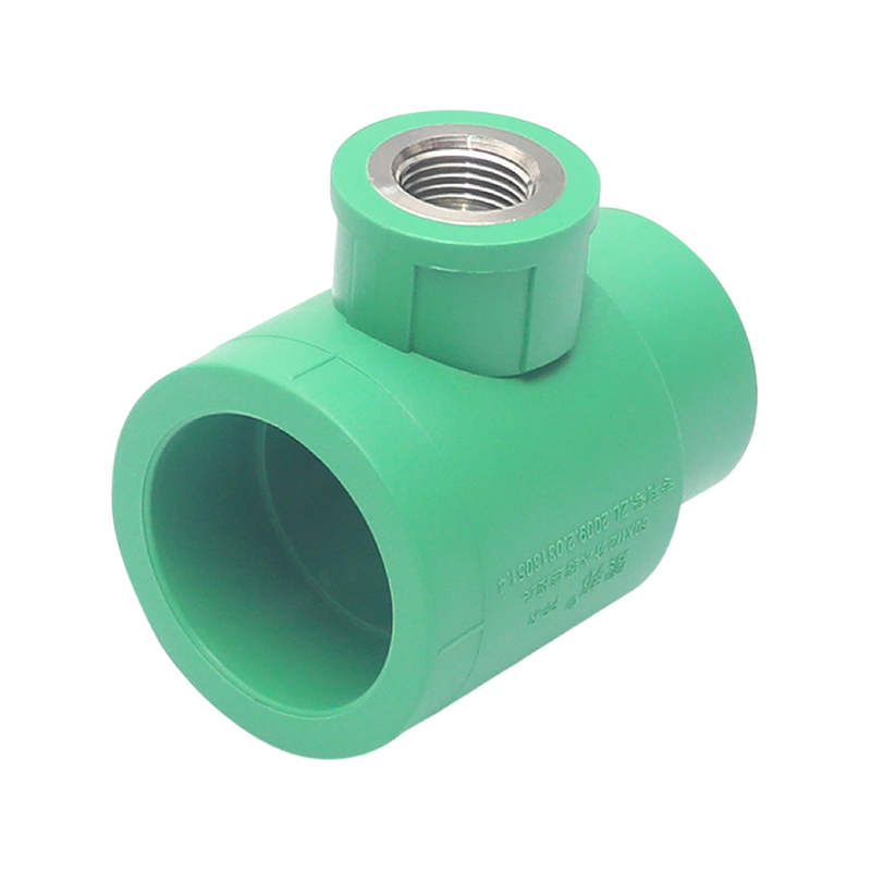 Codo interior extendido PPR D25x1/2