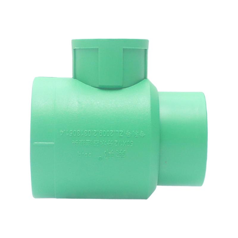 Codo interior extendido PPR D25x1/2