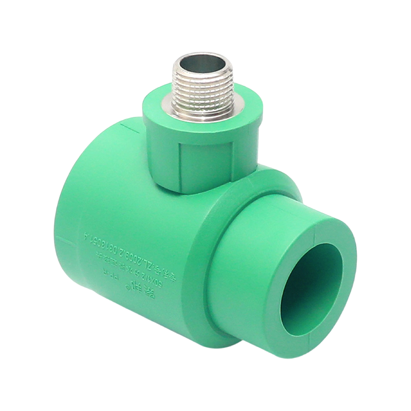 Codo interior extendido PPR D25x1/2