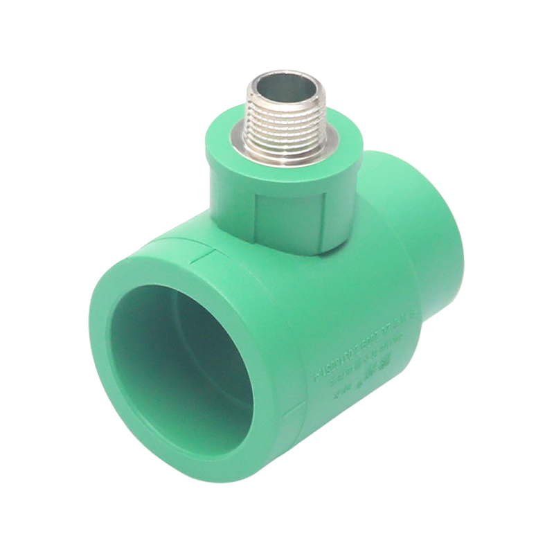 Codo interior extendido PPR D25x1/2