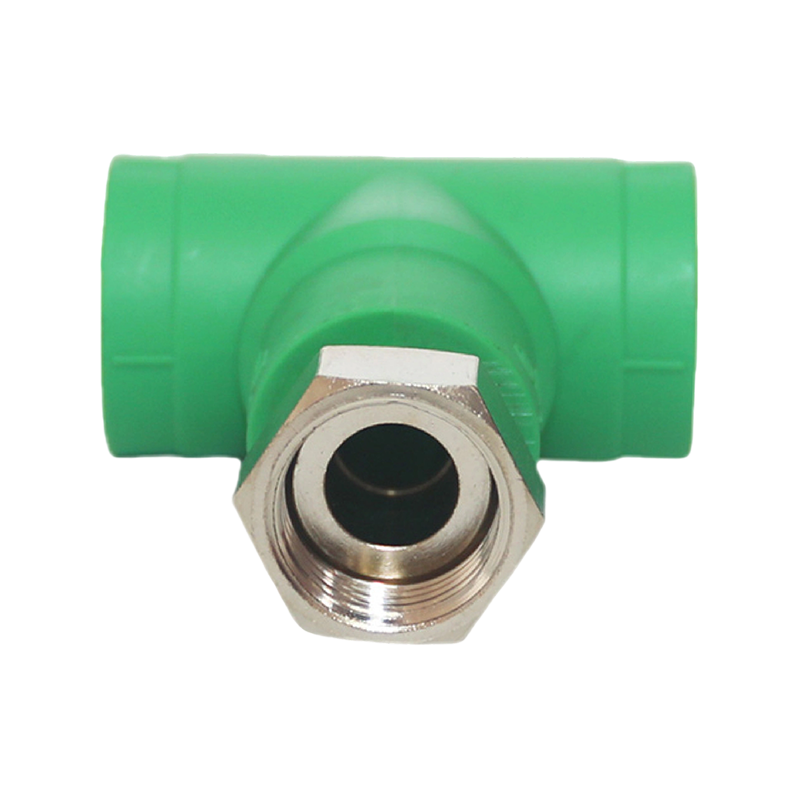 Codo interior extendido PPR D25x1/2